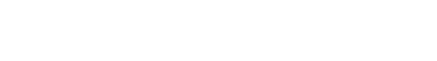 Promoviatges