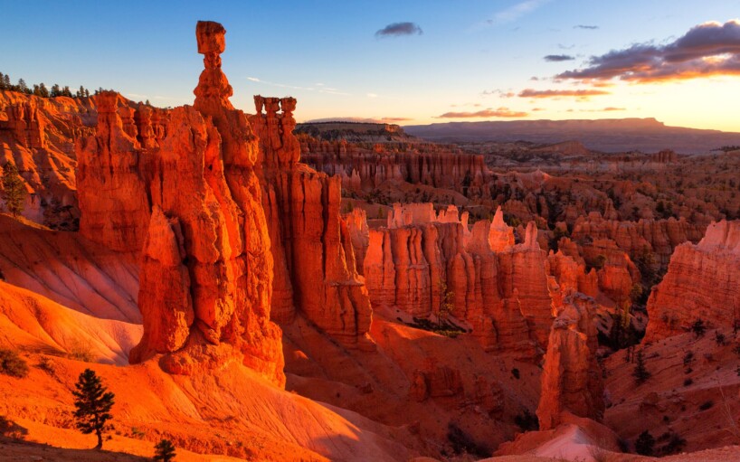 Viaje en grupo a los parques naturales de la Costa Oeste de Estados Unidos