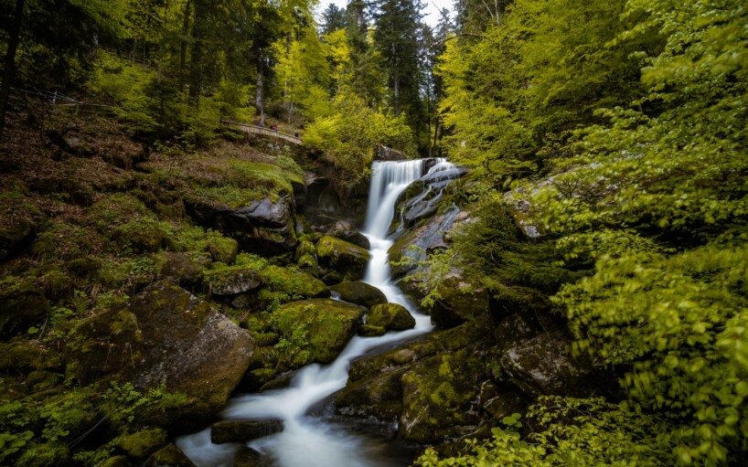 Viatge Cascada Triberg De ruta en Familia