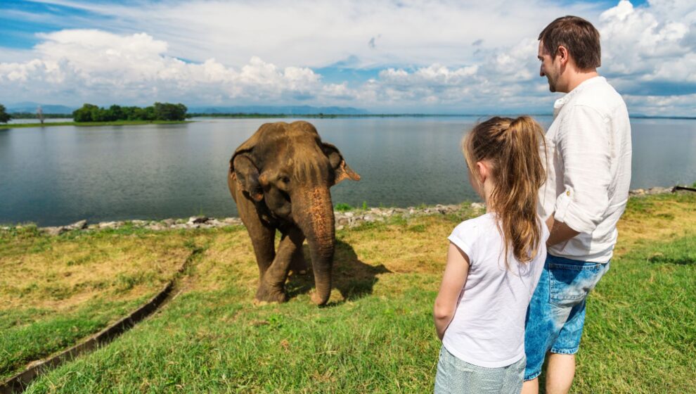 Udawalawe destacat sri lanka en família