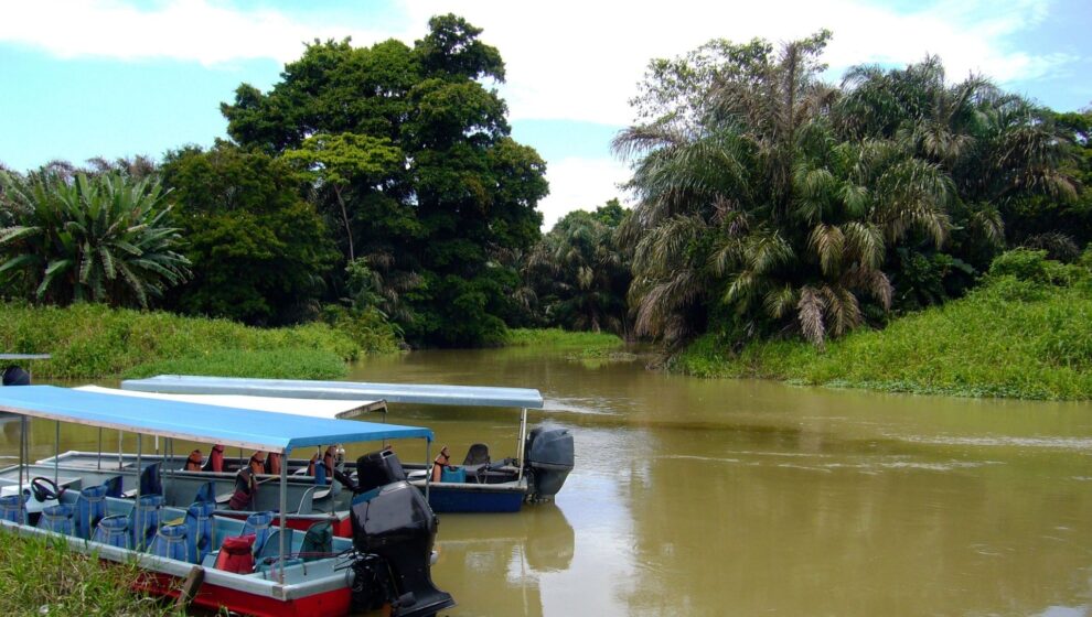 destacat tortuguero viatge en família costa rica