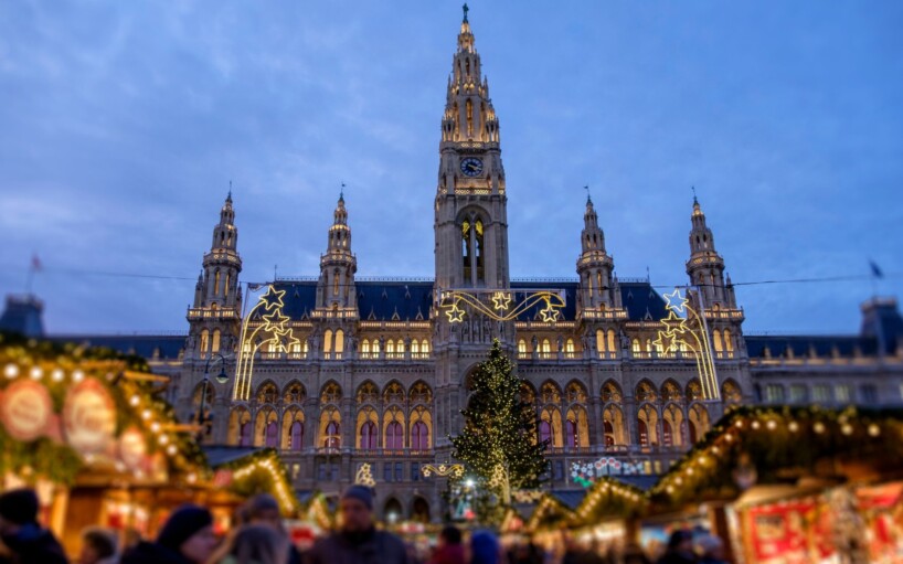 Mercat de Nadal a Viena amb guia