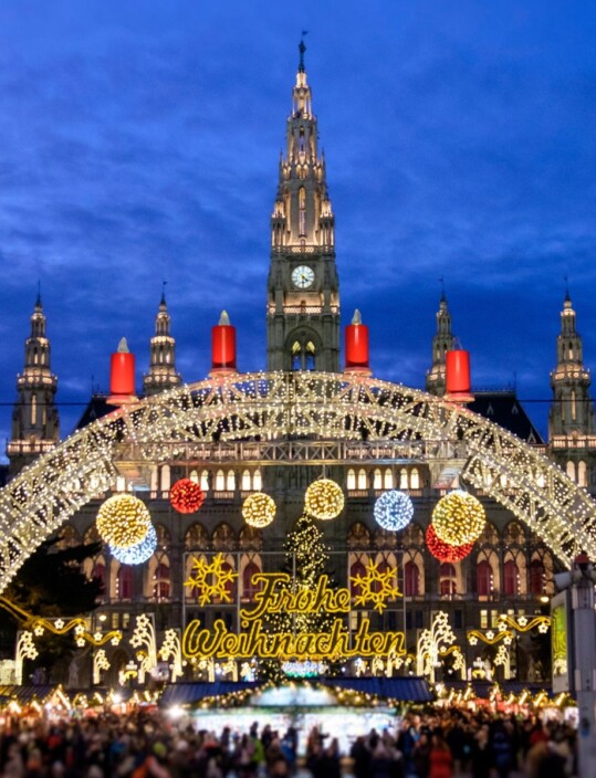 Mercats de Nadal en grup a Viena i Budapest