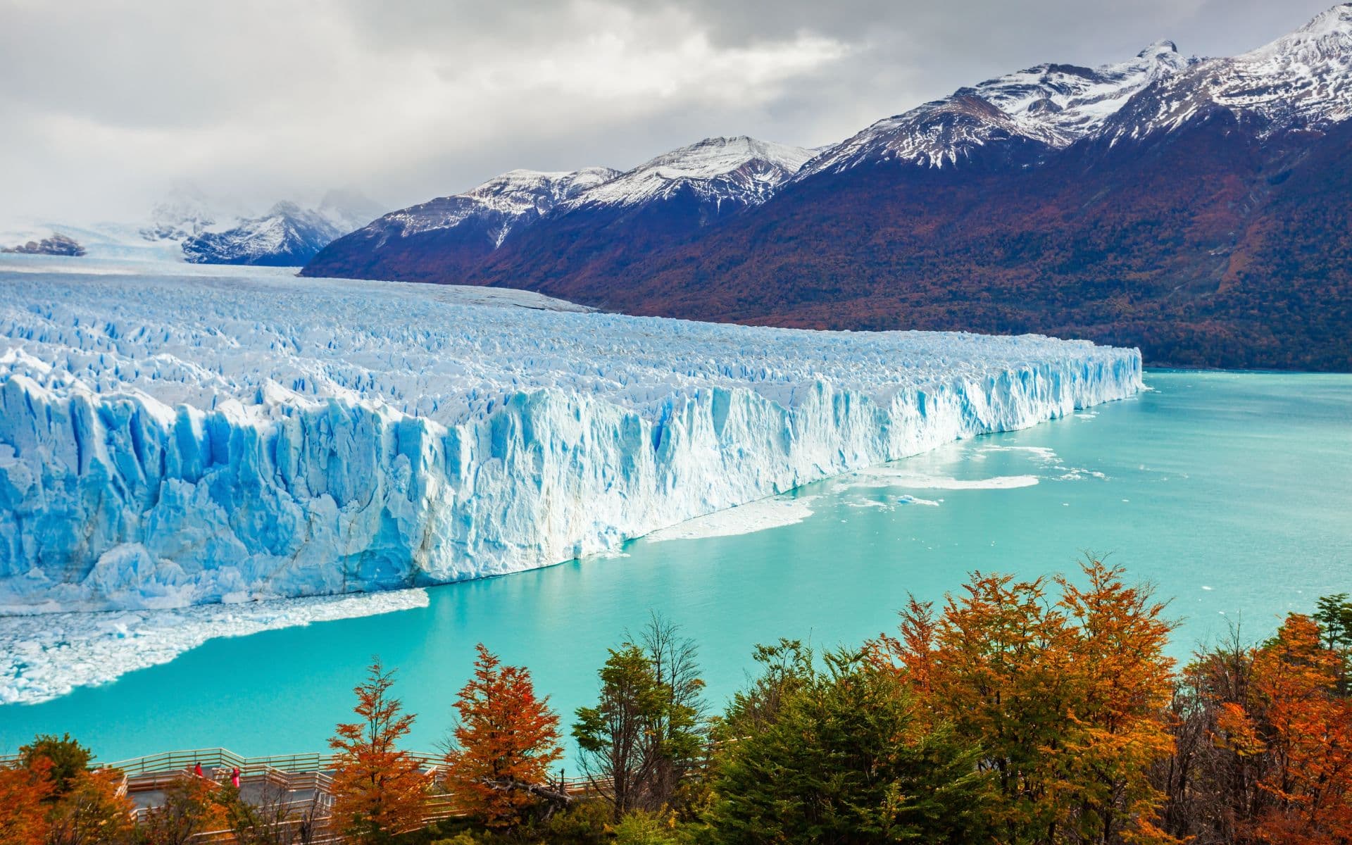 Viatge amb grup al Perito Moreno