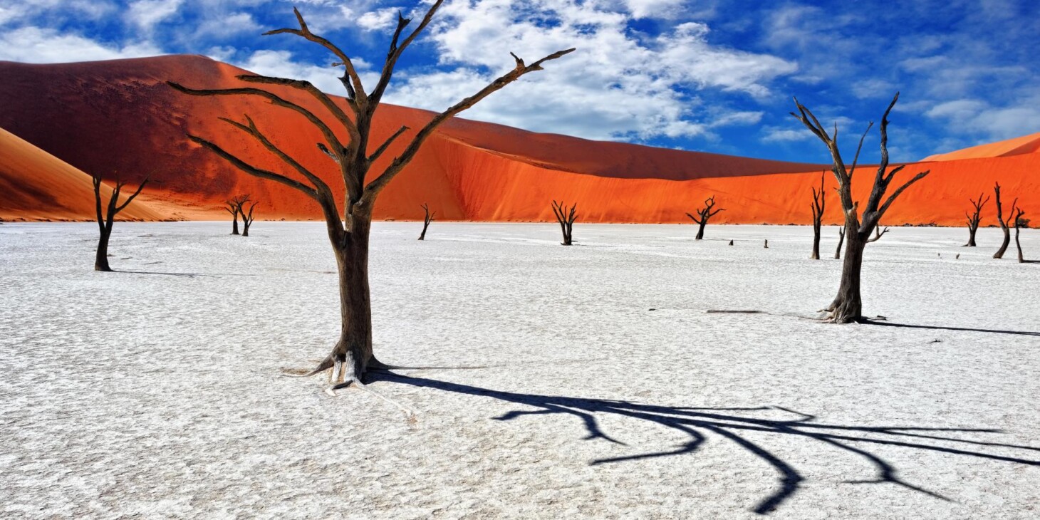 Viatge amb grup a Deadvlei