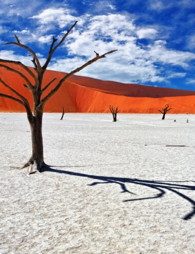 Viatge amb grup a Deadvlei