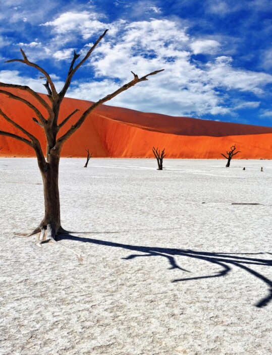 Viatge amb grup a Deadvlei