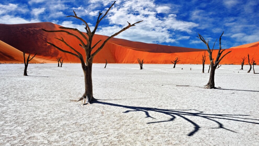 Viatge amb grup a Deadvlei