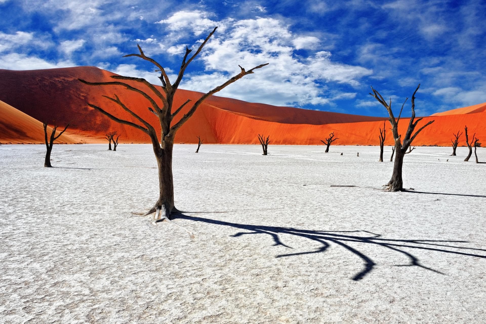 Viatge amb grup a Deadvlei
