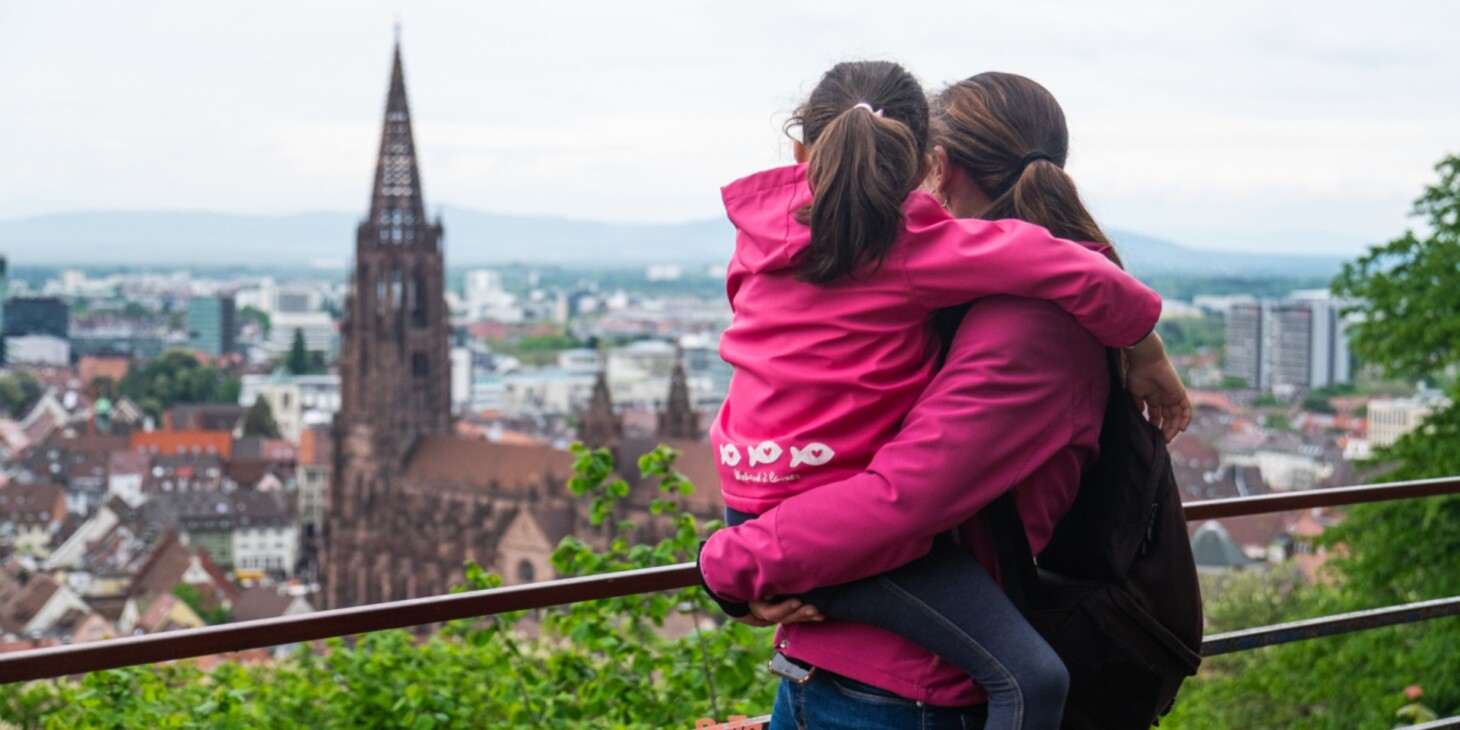 Viatge Europa Park i la Selva Negra De Ruta en Família