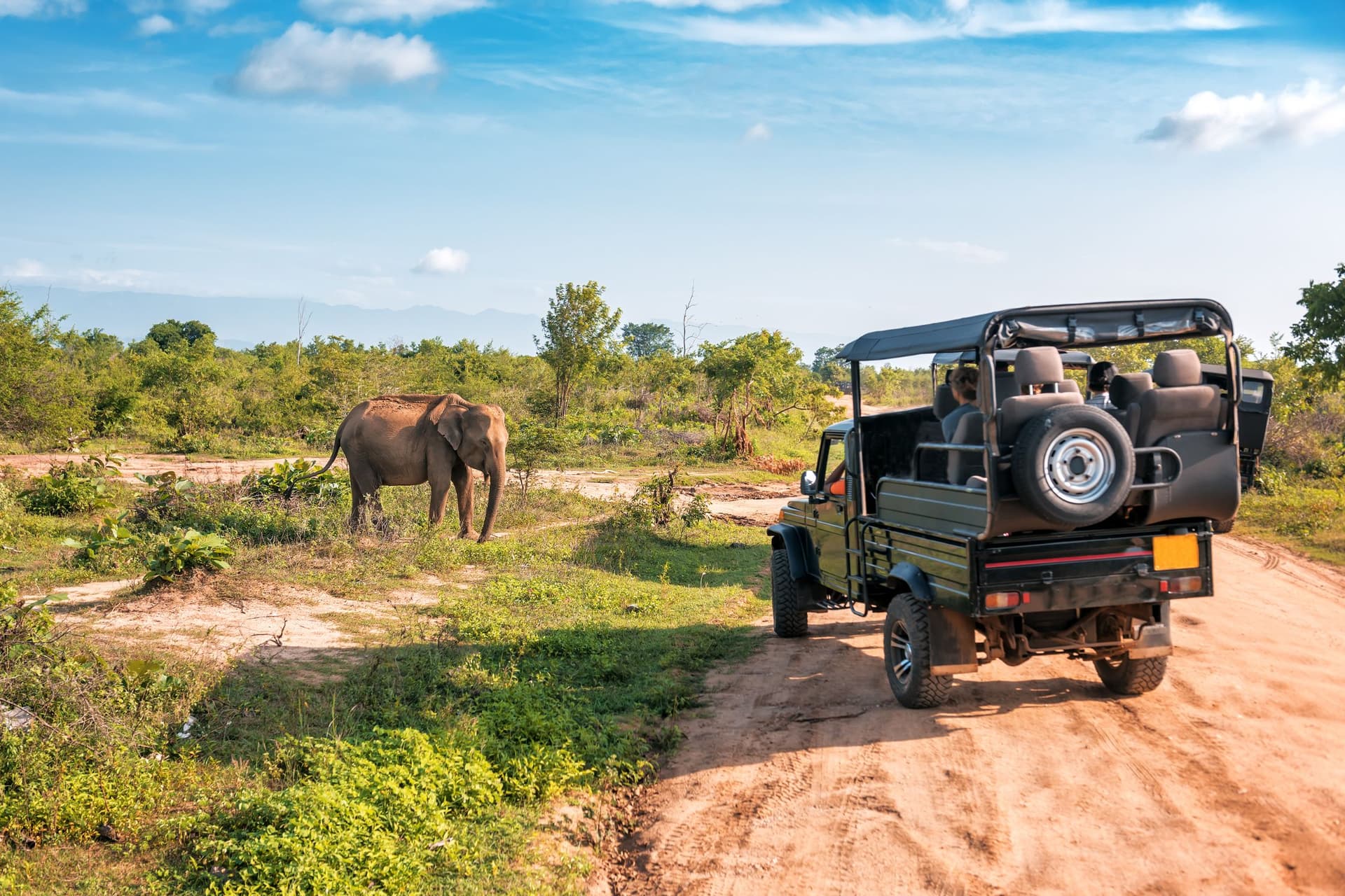 safari a l' Elephant Nature Park