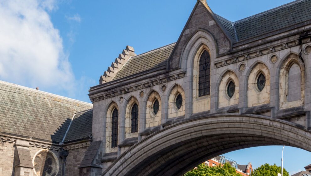 dublinia, dublin