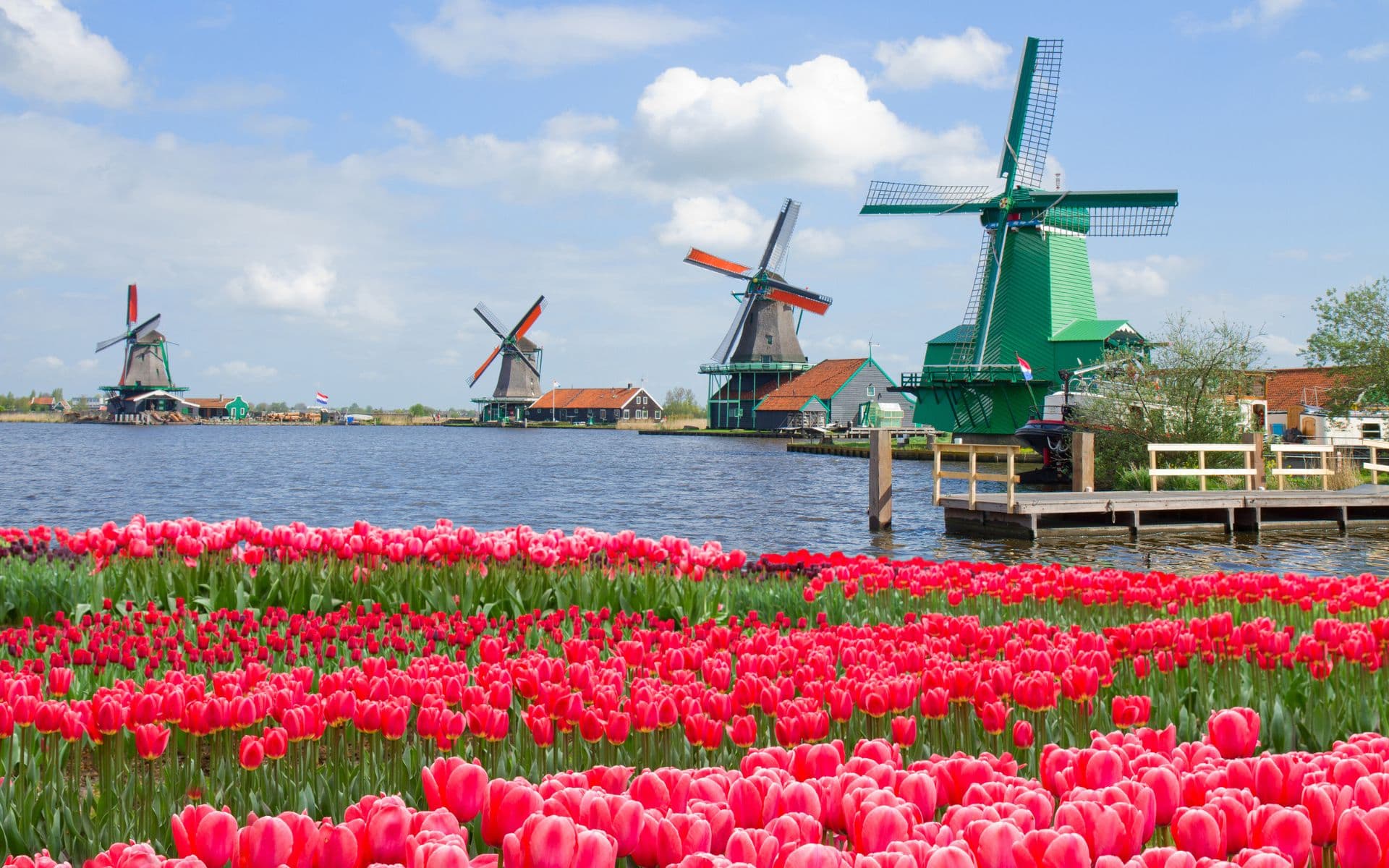Holanda i els jardins Keukenhof