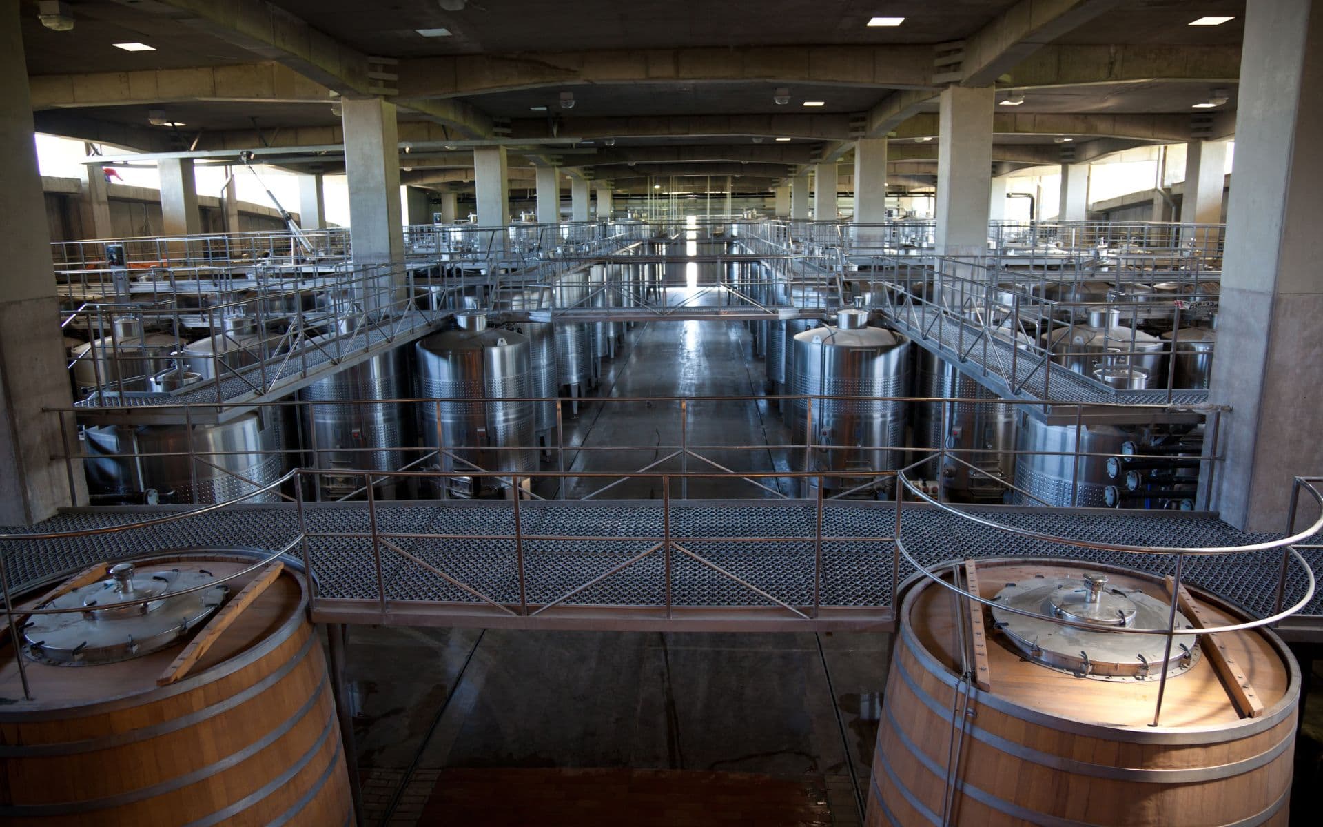 Bdega de les vinyes de Colchagua