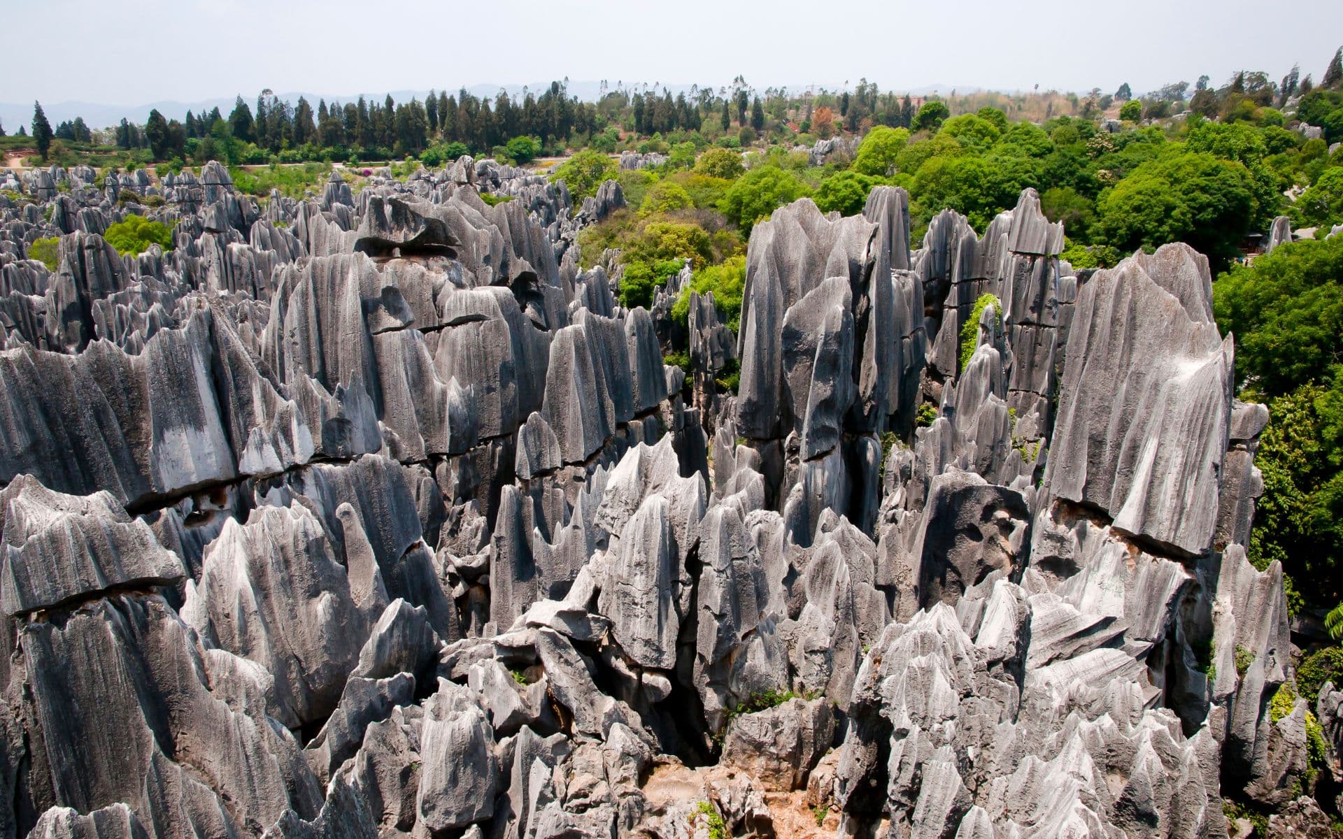 Bosc de pedra a Yunnan