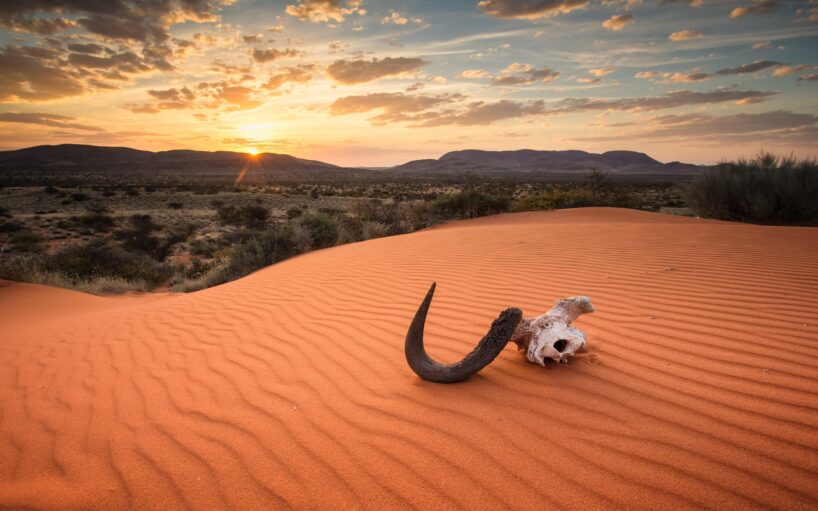 Viatge amb guia a Kalahari