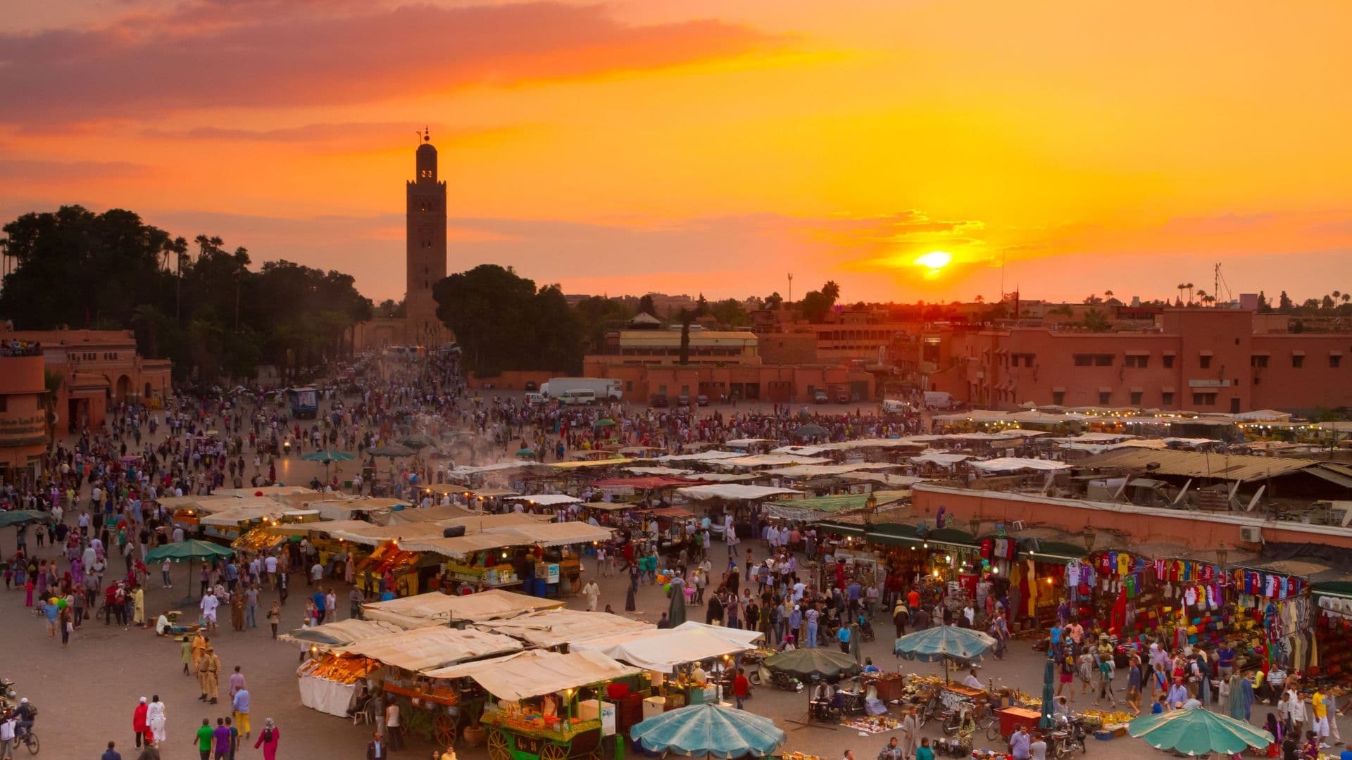 marrakech mida web