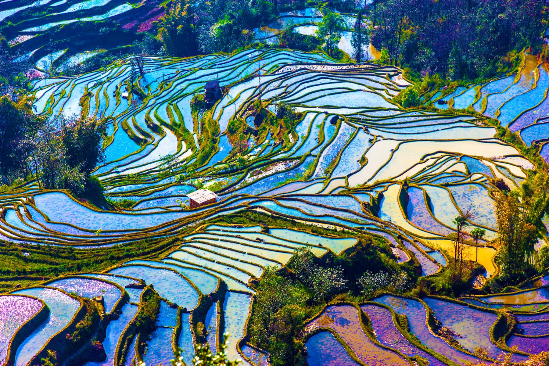 Yunnan - Promoviatges