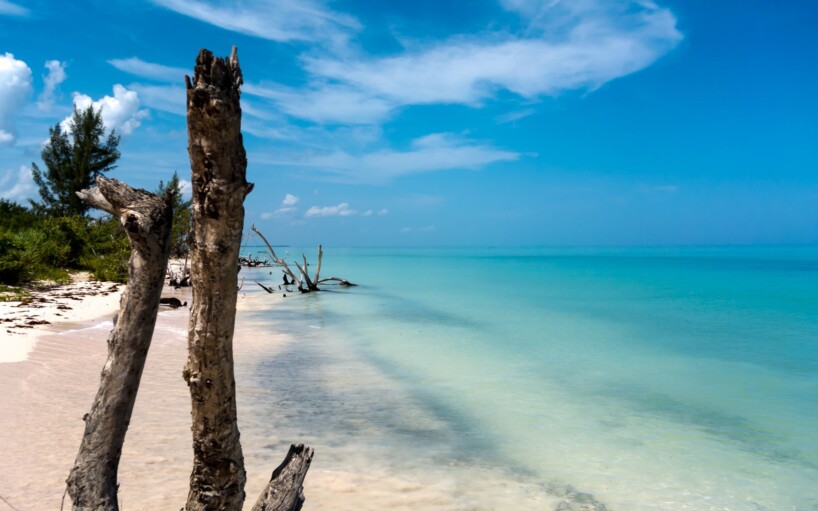 Viatge amb grup a Cayo Cuba