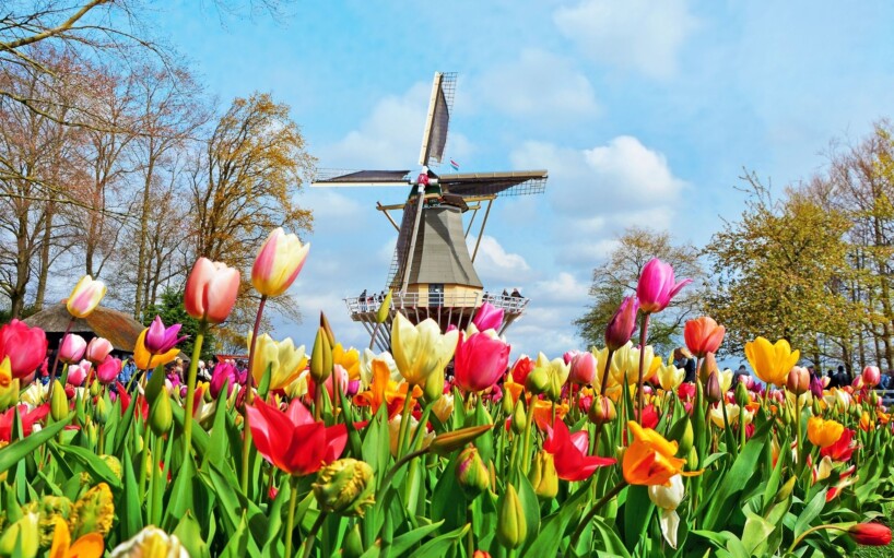 Viatge amb guia acompanyant a Holanda