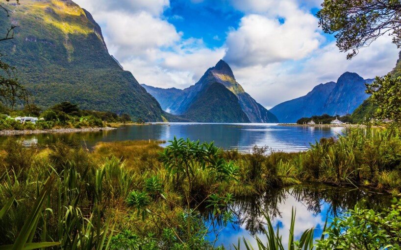 Viatge amb guia acompanyant a Milford Sound