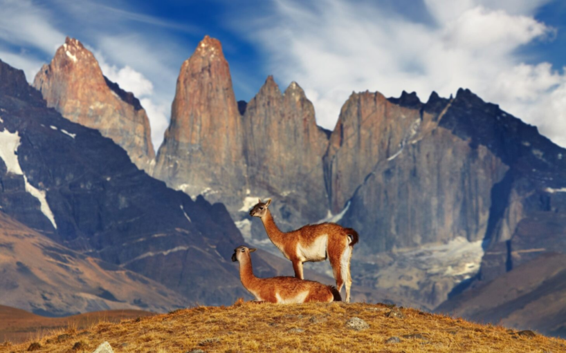 Viatge amb guia a les Torres del Paine
