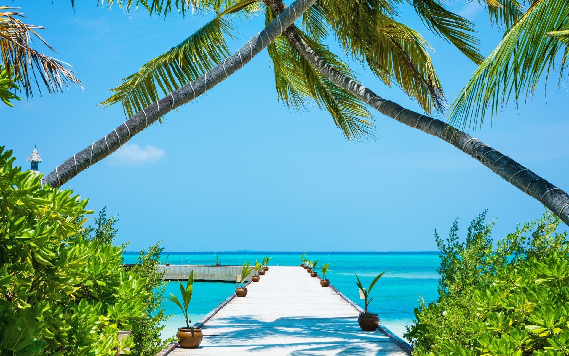 Viatge personalitzat a Maldives