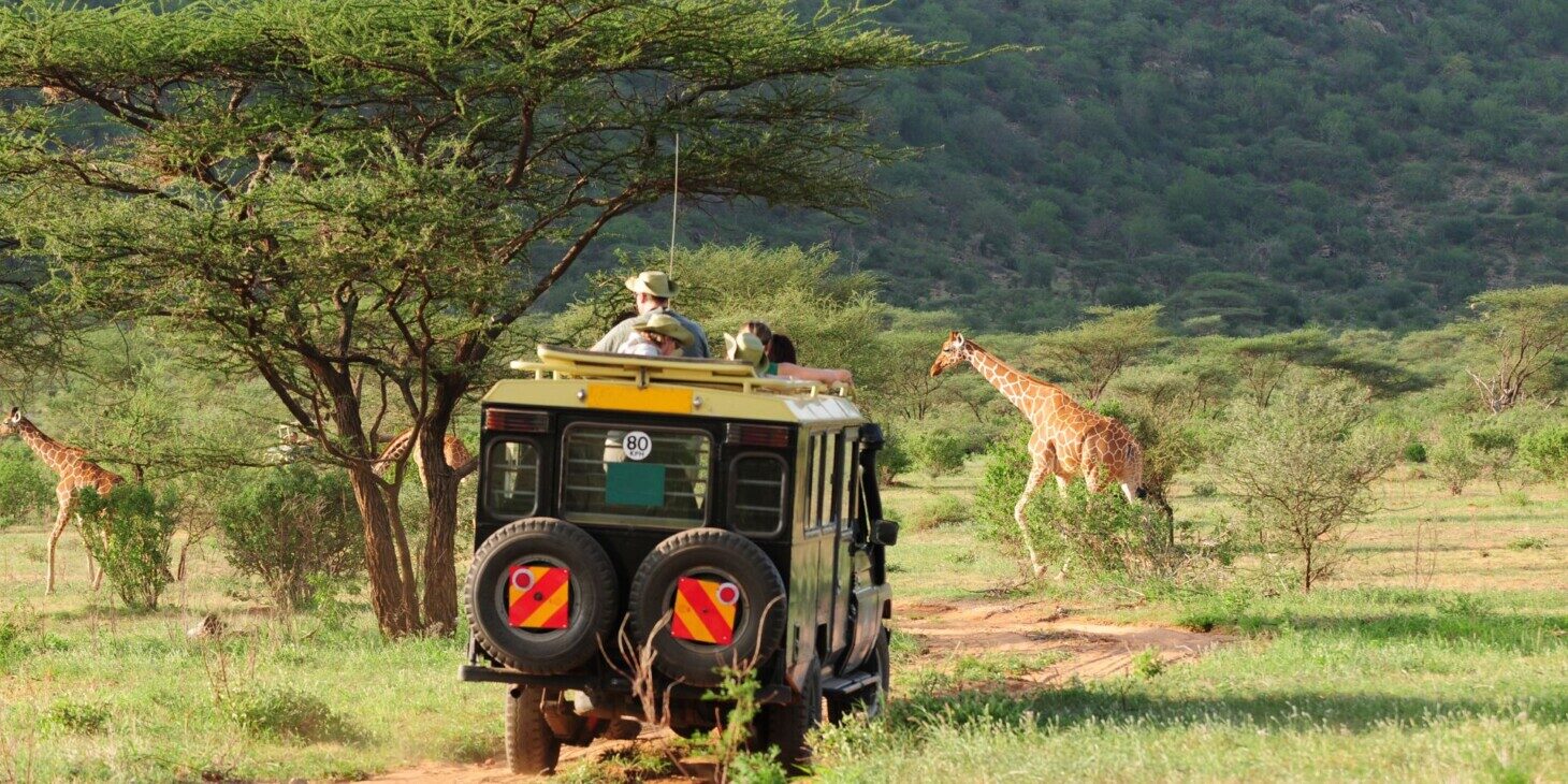 Viatge personalitzat safari a Kenya