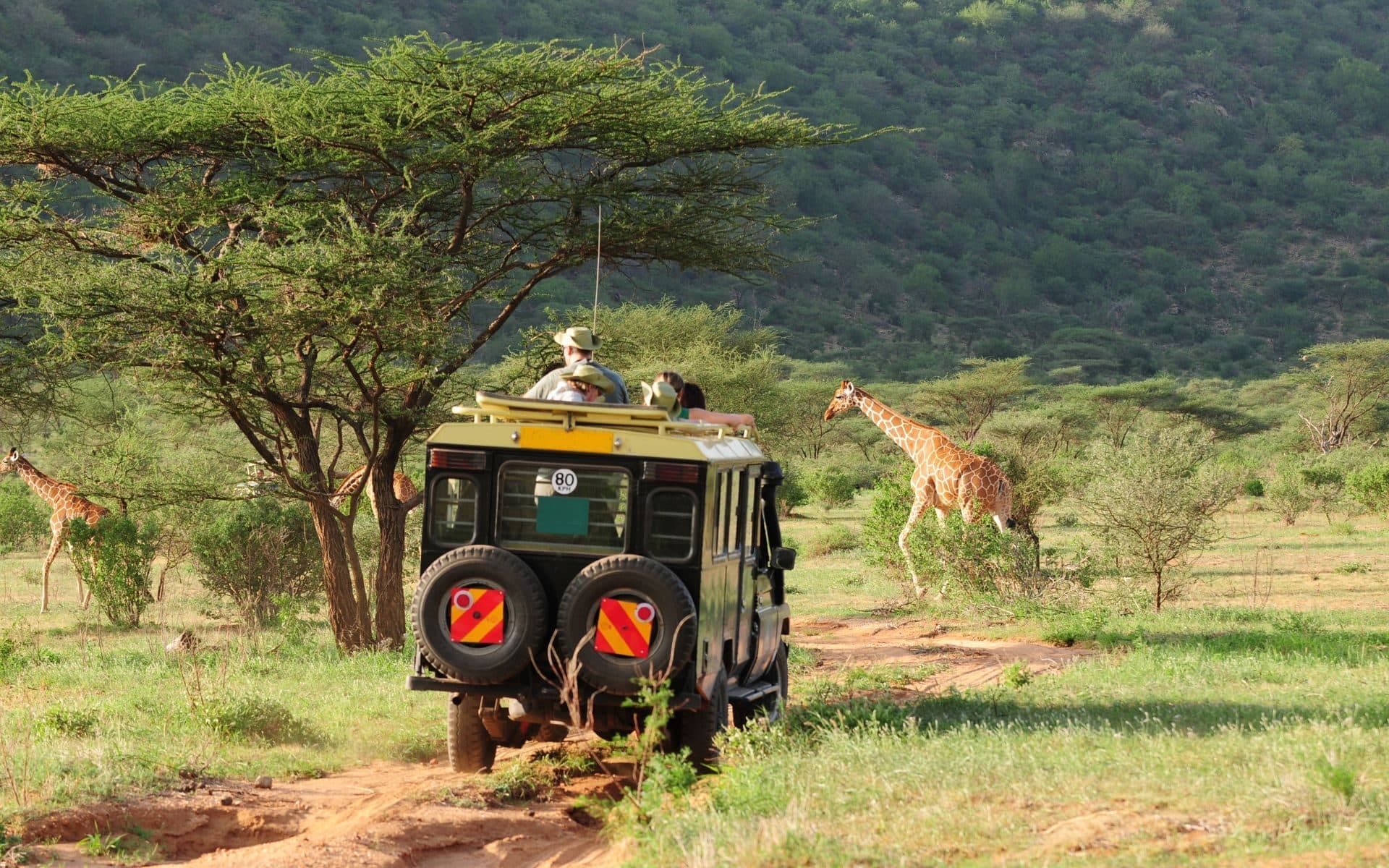 Viatge personalitzat safari a Kenya