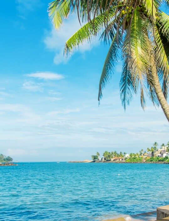 Viatge personalizat a Sri Lanka i Maldives